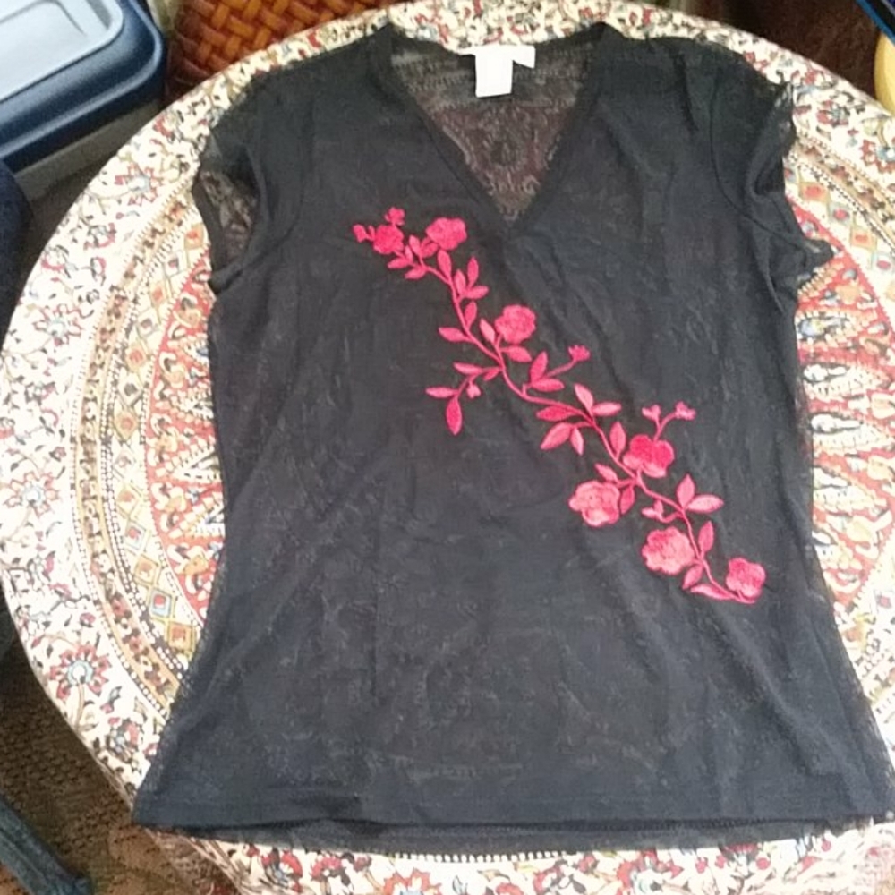 EXPRESS Embroidered Mesh V-neck Top